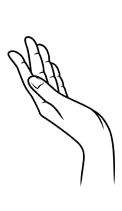 Left Hand Care Asset